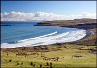 Wavecrest self catering cottage in Staffin. Wavecrest self catering cottage in Staffin.