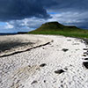 Coral Beach