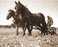 Skye Kin specialize in researching Skye family history. Skye Kin specialize in researching Skye family history.