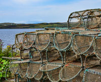 Creel Fishing Skye