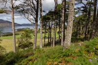 Raasay Walk Raasay Walk