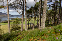 Raasay Walk